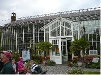 Orchideen-Ausstellung im Botanischen Garten der Uni Potsdam