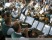 Konzert: Kultur in der Natur - Amicitia