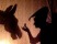 Theater: Tischlein deck dich