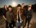 Konzert: Greyhound Soul
