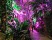 Special: Lichtspektakel in der Biosphäre Potsdam