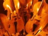 Potsdamer Sinfonieorchester sucht starke Männer