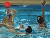 Wasserball-Wettkämpfe im Bad Am Brauhausberg