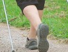 Internationaler Tag der biologischen Vielfalt: Für Brandenburgs Naturlandschaften ist der Name (Veranstaltungs)Programm