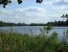 Landesumweltamt: Heiliger See unter Beobachtung