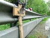 Erschreckend: Schon zehn Motorradfahrer bei Unfällen getötet