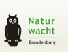 Zauberhafte Wesen der Nacht treffen