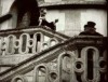 Stummfilm mit Livemusik zur Potsdamer Winteroper