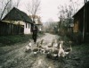 Dokumentarfilm des Monats: Balkan Champion