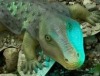 Biosphäre Potsdam: Urzeitgiganten bei der ITB im Fokus