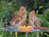 Biosphäre: Letztes sonniges Sommerferien-Wochenende