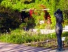 Wegereparaturen am Staudengarten auf der Freundschaftsinsel