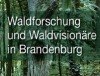 Friedrich II. und der preußische Wald