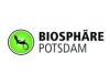 Rekord des Pumas vor der Biosphäre Potsdam brechen