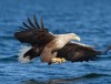 7. Potsdamer Naturfoto-Herbst