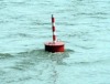Mehr Hochwasserschutz an der Elbe: Vogelsänger übergibt sanierten Deichabschnitt zwischen Bälow und Sandkrug