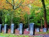 Gedenkveranstaltung zum Volkstrauertag 2015