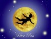 "Peter Pan" zum 20. Jahrestag des Kindermusiktheater "Buntspecht"