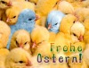 Info-Potsdam.de wünscht Frohe Ostern!