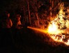 Temperaturen bis 30 Grad: Waldbrandgefahr steigt weiter
