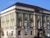 „Grüne Stunde“ im Naturkundemuseum mit Gelbrand und Taumelkäfer