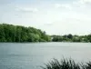 Kaufvertrag zu Ufergrundstücken am Griebnitzsee genehmigt