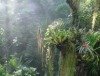 Biosphäre Potsdam: Die Sonne geht, der Wald kommt