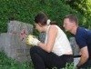 Volksbund-Workcamp pflegt Kriegsgräberstätte in Potsdam