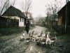 Dokumentarfilm des Monats: Balkan Champion