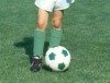 Volkspark Potsdam: Mit Volldampf Richtung Fußball-EM 2012
