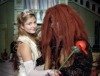 Wiederaufnahme Kindermusical „Die Schöne und das Biest“