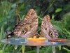Biosphäre: Letztes sonniges Sommerferien-Wochenende