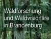 Friedrich II. und der preußische Wald