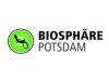 Rekord des Pumas vor der Biosphäre Potsdam brechen