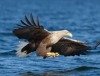 7. Potsdamer Naturfoto-Herbst