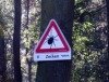Tack: Vor Zeckenstichen schützen