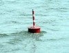 Mehr Hochwasserschutz an der Elbe: Vogelsänger übergibt sanierten Deichabschnitt zwischen Bälow und Sandkrug