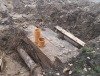 Historische Fragmente des Potsdamer Stadtkanals entdeckt