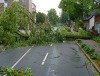 Schäden in den Wäldern Brandenburgs durch Sturm Xavier