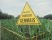 Greenpeace: Anbau von Gen-Mais nicht ausreichend ...