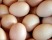 Eier mit erhöhtem PCB-Gehalt wurden auch nach ...