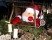 Böhmischer Weihnachtsmarkt Böhmischer Weihnachtsmarkt