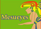 Mesueyes