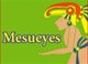 Mesueyes