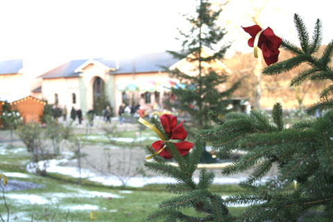 Romantischer Weihnachtsmarkt im Krongut Bornstedt (04.12.2006)