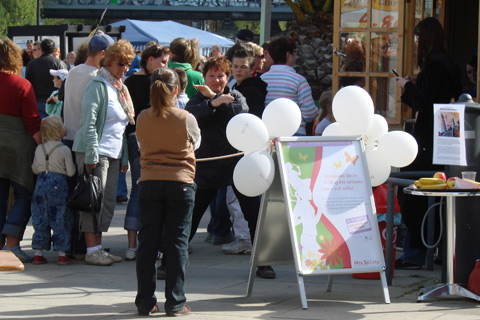 1. Potsdamer Wasserfest