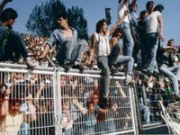 Filmvorführung: Die Fans sind wir / Bierkurve - im Halbfinal