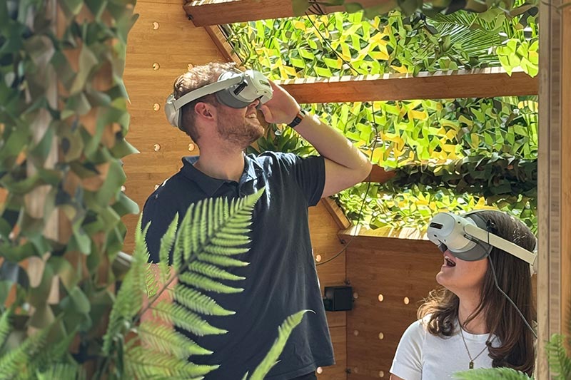 Foto: Im Auge des T-Rex