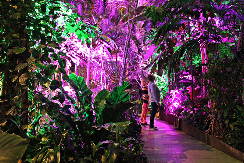 Lichtspektakel in der Biosphäre Potsdam