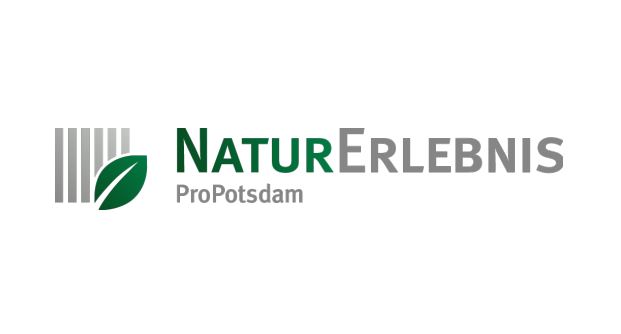 Foto: 31. Int. Sparkassenlauf "Preußische Meile" und 21. Potsdamer Halbmarathonstaffel